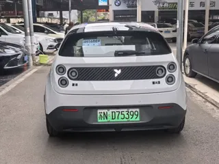 Firefly Firefly 2026 купить из Китая, цена 2 072 000 ₽ — Suifenhe Auto