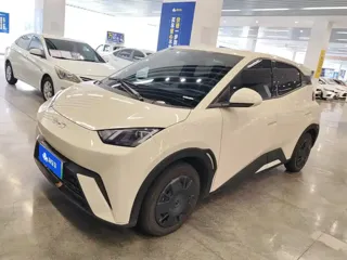 BYD Seagull 2025 купить из Китая, цена 1 293 000 ₽ — Suifenhe Auto