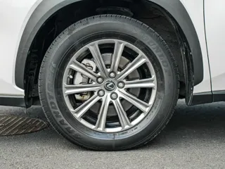 Фото 8