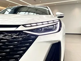 Фото 8