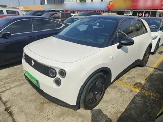 Firefly Firefly 2025 купить из Китая, цена 2 292 000 ₽ — Suifenhe Auto