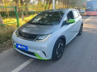 BYD Dolphin 2022 купить из Китая, цена 1 263 000 ₽ — Suifenhe Auto