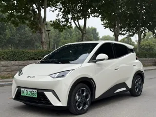 BYD Seagull 2025 купить из Китая, цена 1 293 000 ₽ — Suifenhe Auto