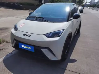 BYD Seagull 2024 купить из Китая, цена 1 139 000 ₽ — Suifenhe Auto