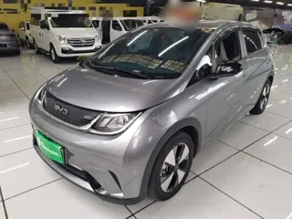 BYD Dolphin 2024 купить из Китая, цена 1 496 000 ₽ — Suifenhe Auto