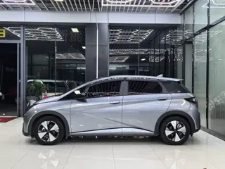 BYD Dolphin 2023 купить из Китая, цена 1 522 000 ₽ — Suifenhe Auto