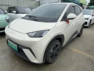 BYD Seagull 2024 купить из Китая, цена 1 254 000 ₽ — Suifenhe Auto