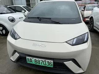 BYD Seagull 2024 купить из Китая, цена 1 254 000 ₽ — Suifenhe Auto