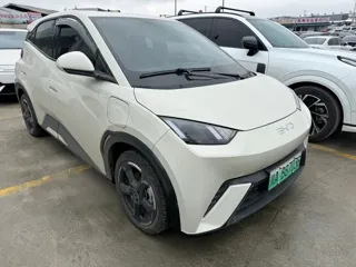 BYD Seagull 2024 купить из Китая, цена 1 254 000 ₽ — Suifenhe Auto