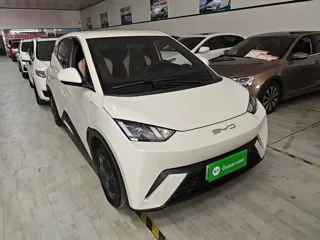 BYD Seagull 2023 купить из Китая, цена 1 281 000 ₽ — Suifenhe Auto