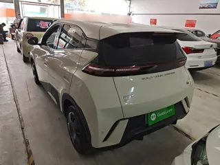 BYD Seagull 2023 купить из Китая, цена 1 281 000 ₽ — Suifenhe Auto