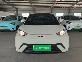 BYD Seagull 2024 купить из Китая, цена 1 249 000 ₽ — Suifenhe Auto
