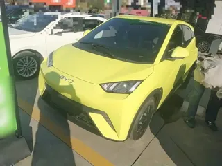 BYD Seagull 2024 купить из Китая, цена 1 354 000 ₽ — Suifenhe Auto