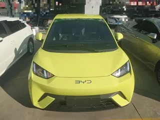 BYD Seagull 2024 купить из Китая, цена 1 354 000 ₽ — Suifenhe Auto