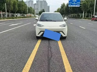 BYD Seagull 2024 купить из Китая, цена 1 178 000 ₽ — Suifenhe Auto