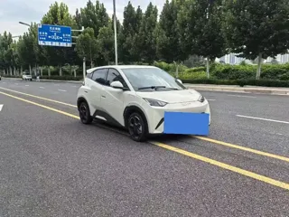 BYD Seagull 2024 купить из Китая, цена 1 178 000 ₽ — Suifenhe Auto