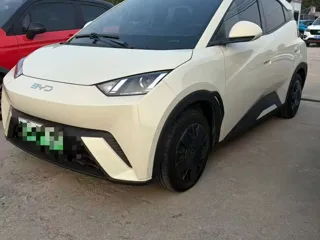 BYD Seagull 2024 купить из Китая, цена 1 215 000 ₽ — Suifenhe Auto