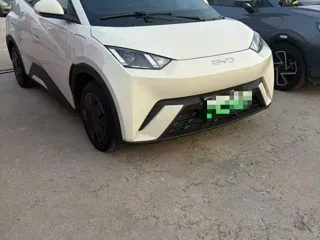 BYD Seagull 2024 купить из Китая, цена 1 215 000 ₽ — Suifenhe Auto