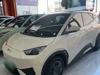 BYD Seagull 2025 купить из Китая, цена 1 425 000 ₽ — Suifenhe Auto