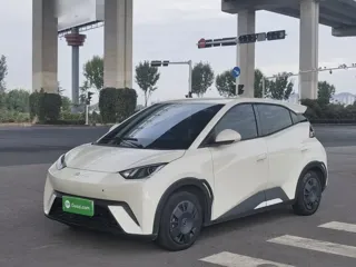 BYD Seagull 2025 купить из Китая, цена 1 325 000 ₽ — Suifenhe Auto