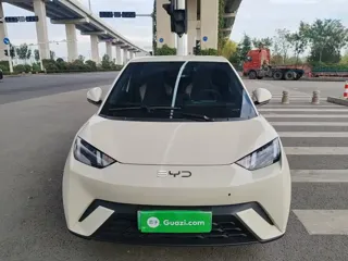 BYD Seagull 2025 купить из Китая, цена 1 325 000 ₽ — Suifenhe Auto