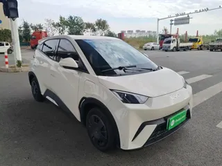 BYD Seagull 2025 купить из Китая, цена 1 325 000 ₽ — Suifenhe Auto