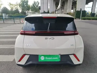 BYD Seagull 2025 купить из Китая, цена 1 325 000 ₽ — Suifenhe Auto