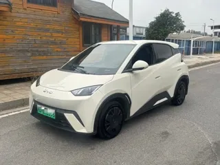 BYD Seagull 2025 купить из Китая, цена 1 201 000 ₽ — Suifenhe Auto