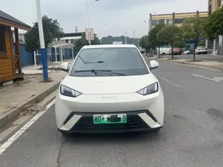 BYD Seagull 2025 купить из Китая, цена 1 201 000 ₽ — Suifenhe Auto