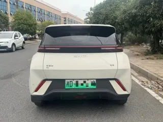 BYD Seagull 2025 купить из Китая, цена 1 201 000 ₽ — Suifenhe Auto