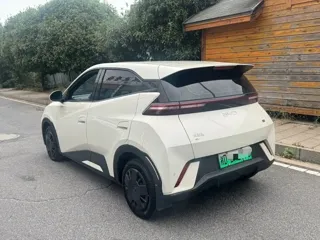BYD Seagull 2025 купить из Китая, цена 1 201 000 ₽ — Suifenhe Auto
