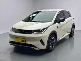 BYD Dolphin 2025 купить из Китая, цена 1 627 000 ₽ — Suifenhe Auto