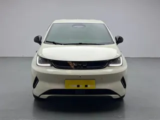 BYD Dolphin 2025 купить из Китая, цена 1 627 000 ₽ — Suifenhe Auto