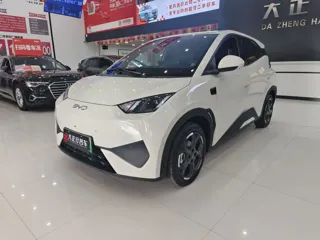 BYD Seagull 2025 купить из Китая, цена 1 574 000 ₽ — Suifenhe Auto