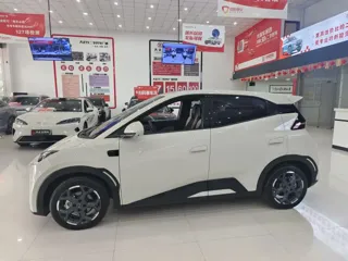 BYD Seagull 2025 купить из Китая, цена 1 574 000 ₽ — Suifenhe Auto