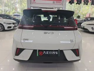 BYD Seagull 2025 купить из Китая, цена 1 574 000 ₽ — Suifenhe Auto