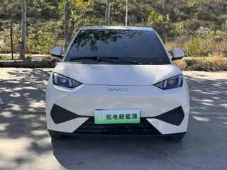 BYD Seagull 2025 купить из Китая, цена 1 379 000 ₽ — Suifenhe Auto