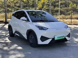 BYD Seagull 2025 купить из Китая, цена 1 379 000 ₽ — Suifenhe Auto