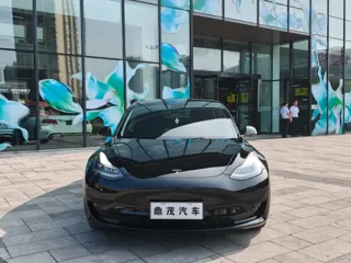 Tesla Model 3 2023 купить из Китая, цена 4 887 000 ₽ — Suifenhe Auto
