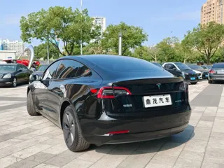 Tesla Model 3 2023 купить из Китая, цена 4 887 000 ₽ — Suifenhe Auto