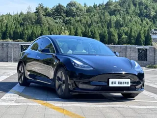 Tesla Model 3 2020 купить из Китая, цена 3 940 000 ₽ — Suifenhe Auto
