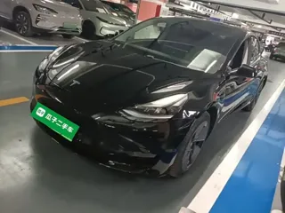 Tesla Model 3 2021 купить из Китая, цена 4 308 000 ₽ — Suifenhe Auto