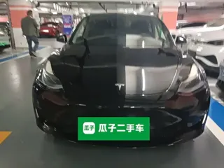 Tesla Model 3 2021 купить из Китая, цена 4 308 000 ₽ — Suifenhe Auto