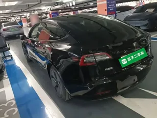 Tesla Model 3 2021 купить из Китая, цена 4 308 000 ₽ — Suifenhe Auto