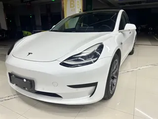 Tesla Model 3 2021 купить из Китая, цена 4 206 000 ₽ — Suifenhe Auto