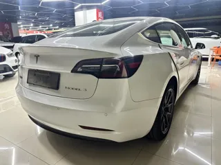 Tesla Model 3 2021 купить из Китая, цена 4 206 000 ₽ — Suifenhe Auto