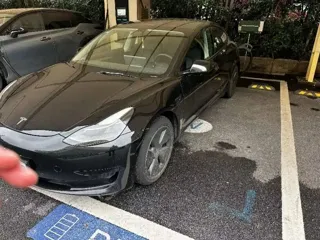 Tesla Model 3 2021 купить из Китая, цена 3 887 000 ₽ — Suifenhe Auto