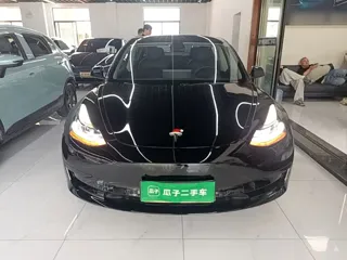 Tesla Model 3 2021 купить из Китая, цена 4 294 000 ₽ — Suifenhe Auto
