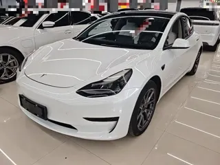 Tesla Model 3 2021 купить из Китая, цена 4 559 000 ₽ — Suifenhe Auto