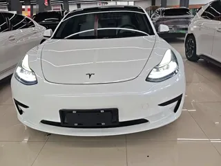 Tesla Model 3 2021 купить из Китая, цена 4 559 000 ₽ — Suifenhe Auto